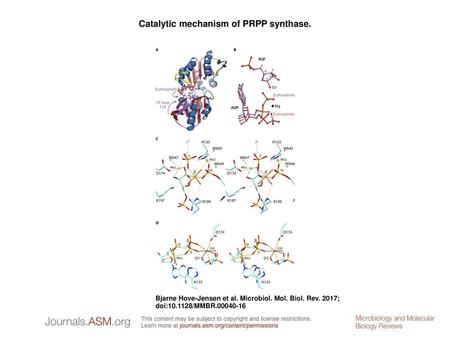 Catalytic mechanism of PRPP synthase.