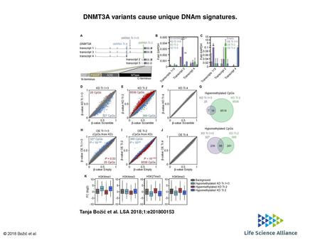 DNMT3A variants cause unique DNAm signatures.