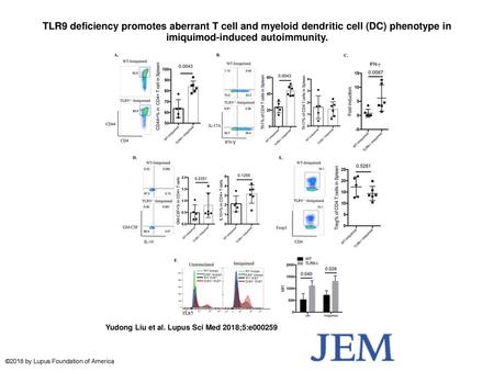 TLR9 deficiency promotes aberrant T cell and myeloid dendritic cell (DC) phenotype in imiquimod-induced autoimmunity. TLR9 deficiency promotes aberrant.