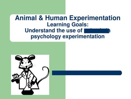 Animal & Human Experimentation. Humans utilize animals in many ways.  More  than 95% of animals are used for food & clothing  Research = small  percentage. - ppt download