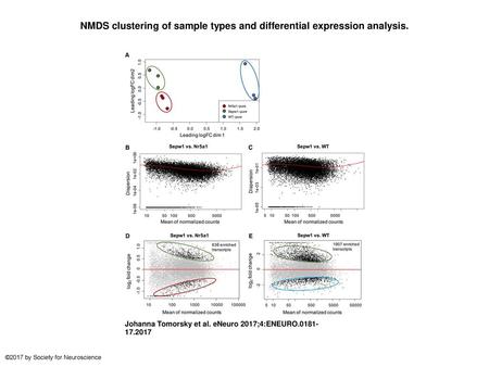 NMDS clustering of sample types and differential expression analysis.
