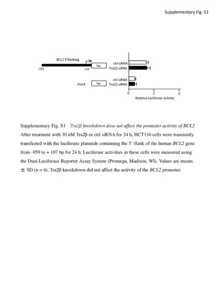 Supplementary Fig. S1 BCL2 5’flanking ctrl siRNA luc -753 +32