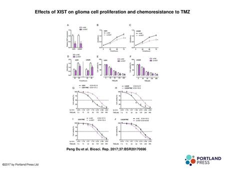 Effects of XIST on glioma cell proliferation and chemoresistance to TMZ Effects of XIST on glioma cell proliferation and chemoresistance to TMZ (A) siRNA-NC/siRNA-XIST.