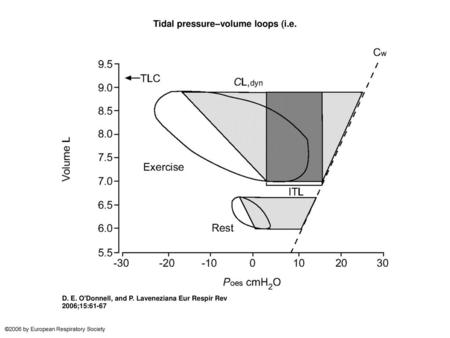 Tidal pressure–volume loops (i.e.