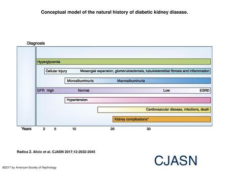 Conceptual model of the natural history of diabetic kidney disease.