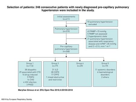 Selection of patients: 248 consecutive patients with newly diagnosed pre-capillary pulmonary hypertension were included in the study. Selection of patients: