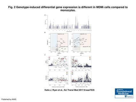 Fig. 2 Genotype-induced differential gene expression is different in MDMi cells compared to monocytes. Genotype-induced differential gene expression is.