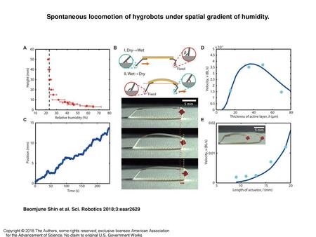 Spontaneous locomotion of hygrobots under spatial gradient of humidity