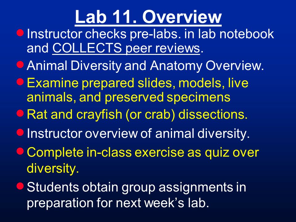 Lab 11. Overview  Instructor checks pre-labs. in lab notebook and COLLECTS  peer reviews.  Animal Diversity and Anatomy Overview.  Examine prepared  slides, - ppt download