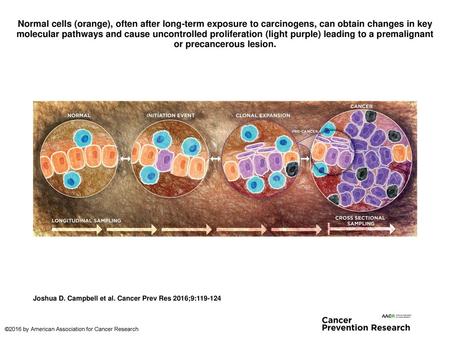 Normal cells (orange), often after long-term exposure to carcinogens, can obtain changes in key molecular pathways and cause uncontrolled proliferation.