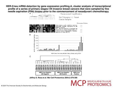 HER-2/neu mRNA detection by gene expression profiling