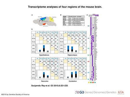 Transcriptome analyses of four regions of the mouse brain.