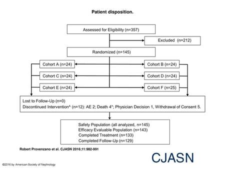 Patient disposition. Patient disposition. AE, adverse event. *One patient died during the follow-up period. ^Four of the 12 discontinuations of treatment.