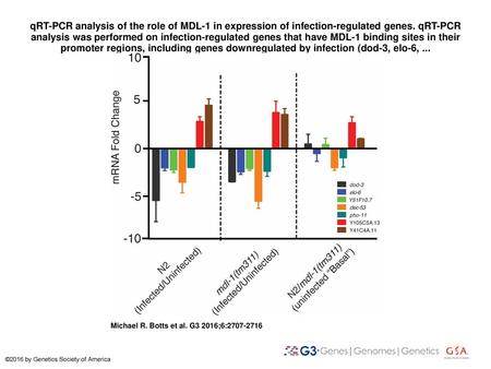 QRT-PCR analysis of the role of MDL-1 in expression of infection-regulated genes. qRT-PCR analysis was performed on infection-regulated genes that have.
