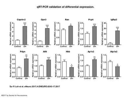 qRT-PCR validation of differential expression.