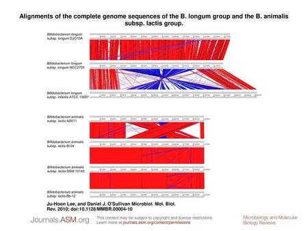 Alignments of the complete genome sequences of the B