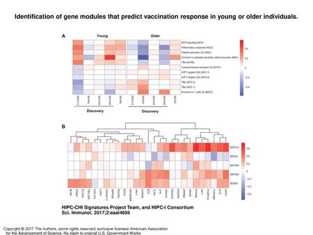 Identification of gene modules that predict vaccination response in young or older individuals. Identification of gene modules that predict vaccination.