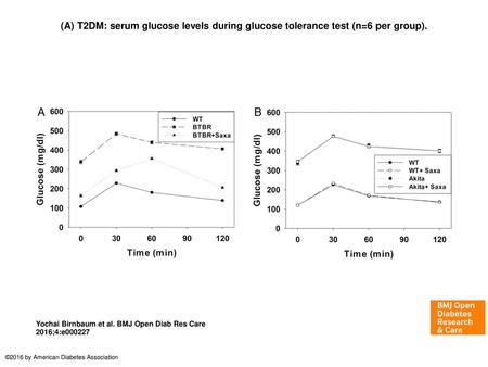 (A) T2DM: serum glucose levels during glucose tolerance test (n=6 per group). (A) T2DM: serum glucose levels during glucose tolerance test (n=6 per group).