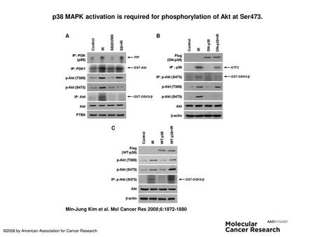 p38 MAPK activation is required for phosphorylation of Akt at Ser473.