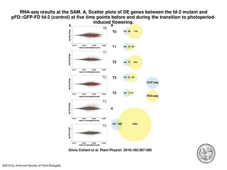 RNA-seq results at the SAM
