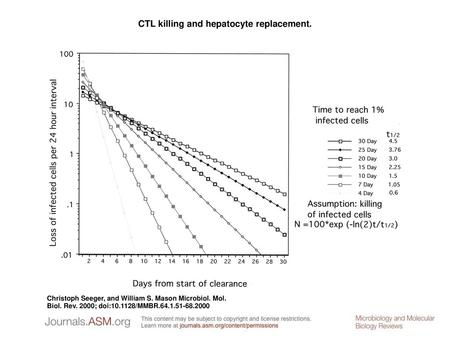 CTL killing and hepatocyte replacement.