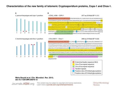 Characteristics of the new family of telomeric Cryptosporidium proteins, Cops-1 and Chos-1. Characteristics of the new family of telomeric Cryptosporidium.