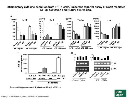 Inflammatory cytokine secretion from THP-1 cells, luciferase reporter assay of Nod2-mediated NF-κB activation and NLRP3 expression. Inflammatory cytokine.