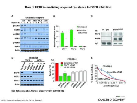 Role of HER2 in mediating acquired resistance to EGFR inhibition.