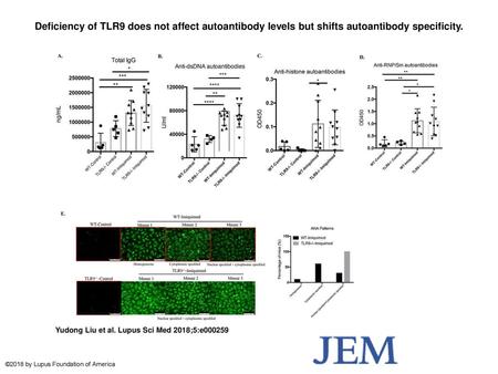 Deficiency of TLR9 does not affect autoantibody levels but shifts autoantibody specificity. Deficiency of TLR9 does not affect autoantibody levels but.