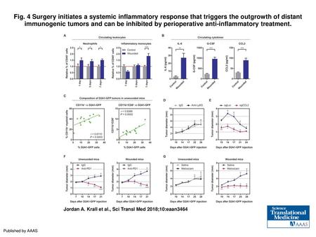 Fig. 4 Surgery initiates a systemic inflammatory response that triggers the outgrowth of distant immunogenic tumors and can be inhibited by perioperative.