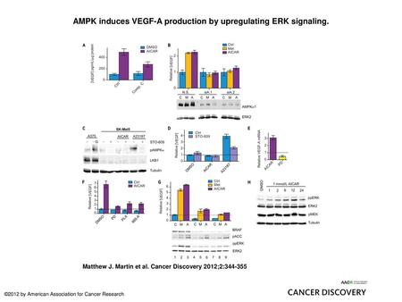AMPK induces VEGF-A production by upregulating ERK signaling.