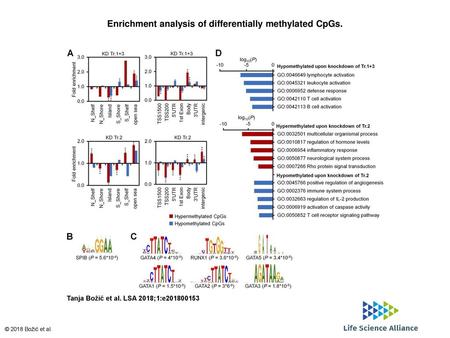 Enrichment analysis of differentially methylated CpGs.