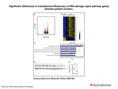Significant differences in translational efficiencies of DNA damage repair pathway genes between patient clusters. Significant differences in translational.