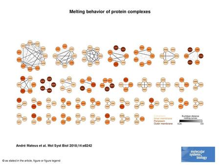 Melting behavior of protein complexes