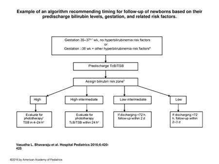 Example of an algorithm recommending timing for follow-up of newborns based on their predischarge bilirubin levels, gestation, and related risk factors.