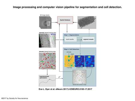 Image processing and computer vision pipeline for segmentation and cell detection. Image processing and computer vision pipeline for segmentation and cell.