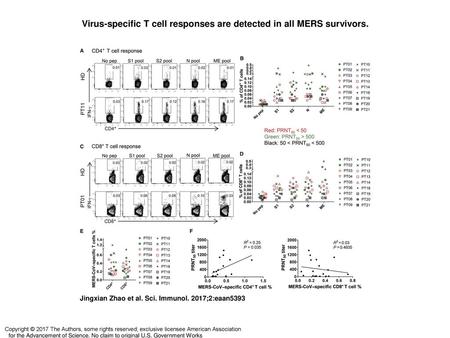 Virus-specific T cell responses are detected in all MERS survivors.