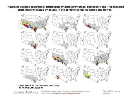 Triatomine species geographic distribution by state (gray areas) and county and Trypanosoma cruzi infection status by county in the continental United.