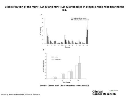 Biodistribution of the muNR-LU-10 and huNR-LU-13 antibodies in athymic nude mice bearing the s.c. Biodistribution of the muNR-LU-10 and huNR-LU-13 antibodies.