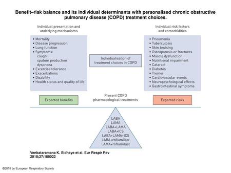 Benefit–risk balance and its individual determinants with personalised chronic obstructive pulmonary disease (COPD) treatment choices. Benefit–risk balance.