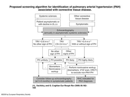 Proposed screening algorithm for identification of pulmonary arterial hypertension (PAH) associated with connective tissue disease. Proposed screening.