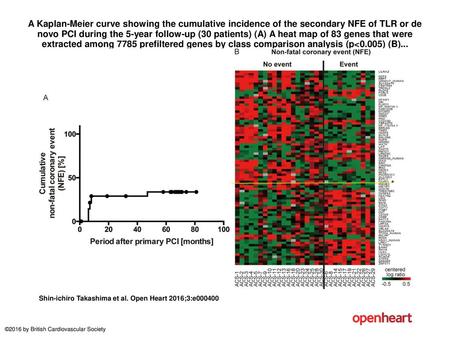 A Kaplan-Meier curve showing the cumulative incidence of the secondary NFE of TLR or de novo PCI during the 5-year follow-up (30 patients) (A) A heat map.