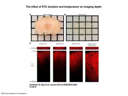 The effect of ETC duration and temperature on imaging depth.