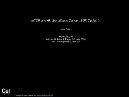 mTOR and Akt Signaling in Cancer: SGK Cycles In
