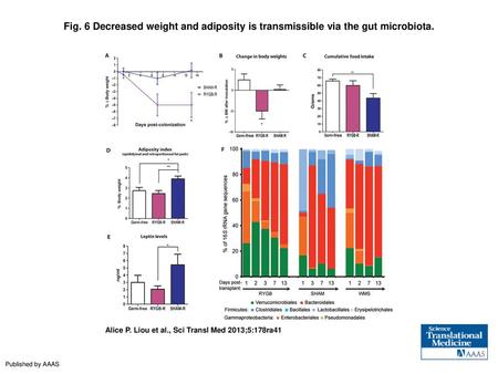Decreased weight and adiposity is transmissible via the gut microbiota