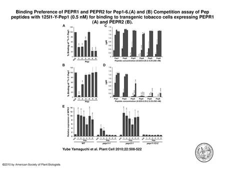 Binding Preference of PEPR1 and PEPR2 for Pep1-6