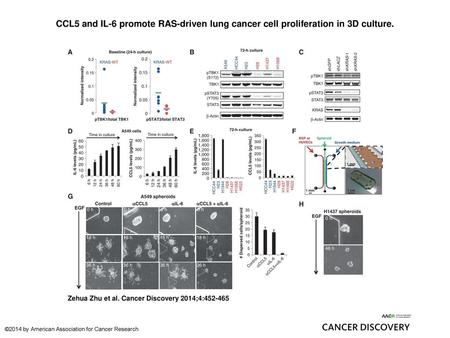 CCL5 and IL-6 promote RAS-driven lung cancer cell proliferation in 3D culture. CCL5 and IL-6 promote RAS-driven lung cancer cell proliferation in 3D culture.