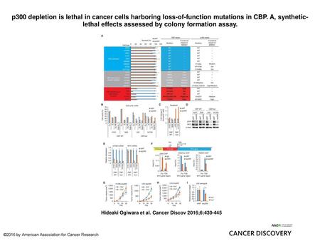 P300 depletion is lethal in cancer cells harboring loss-of-function mutations in CBP. A, synthetic-lethal effects assessed by colony formation assay. p300.