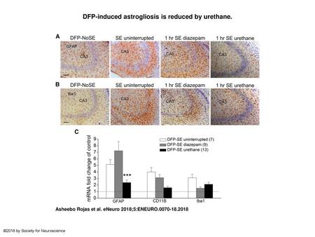 DFP-induced astrogliosis is reduced by urethane.