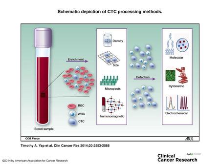 Schematic depiction of CTC processing methods.
